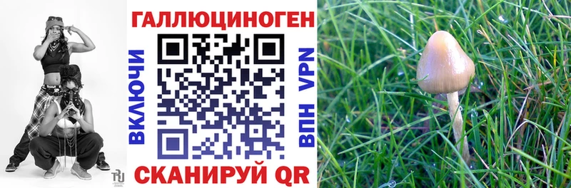 Галлюциногенные грибы мицелий  гидра зеркало  Лабинск 